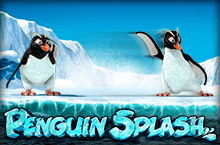 Penguin Splash
